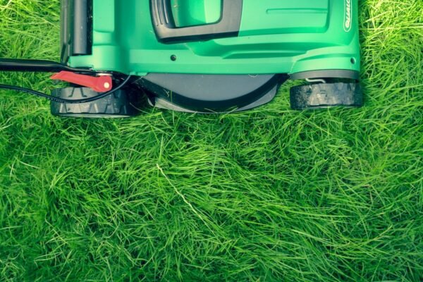 Bien entretenir sa pelouse : ce qu&rsquo;il faut vraiment faire, saison par saison