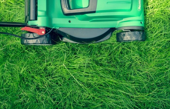 Bien entretenir sa pelouse : ce qu&rsquo;il faut vraiment faire, saison par saison