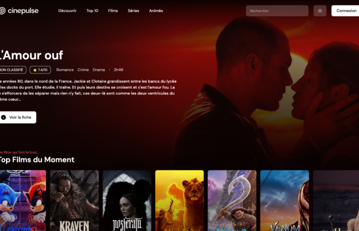 Cinepulse, le streaming illégal qui a osé se montrer