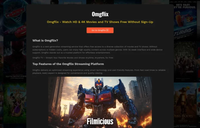 Omgflix ou quand le piratage n&rsquo;a plus de frontières linguistiques